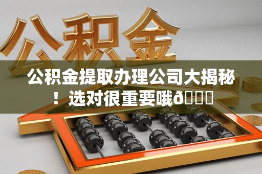 鲤城公积金提取办理公司大揭秘！选对很重要哦😎