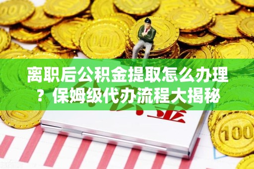 鲤城离职后公积金提取怎么办理?保姆级代办流程大揭秘 鲤城离职后公积金提取怎么办理?保姆级代办流程大揭秘
