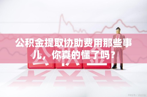 鲤城公积金提取协助费用那些事儿，你真的懂了吗？