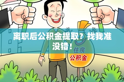 鲤城离职后公积金提取？找我准没错！